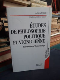 Etudes de philosophie politique platonicienne