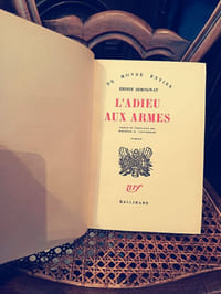 L'Adieu aux Armes