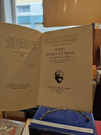 Petits Poëmes en Prose