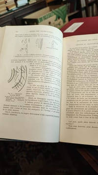 Traité de cryptogamie