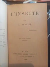 L'Insecte