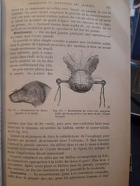 Technique microbiologique et sérothérapique