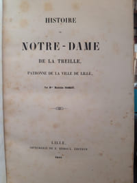 Histoire de Notre Dame de la Treille, patronne de la ville de Lille et son couronnement