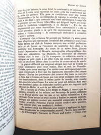 Du givre sur les ronces