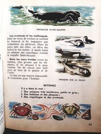 Géographie. Cours élémentaire 1ere année