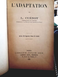 L'adaptation