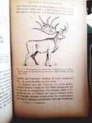 L'adaptation par Guénot, L. - Image 3