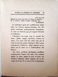 La fleur... médiatrice entre la Pierre et l'Homme