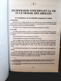 Apiculture repensée