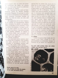 L'apiculture simplifiée