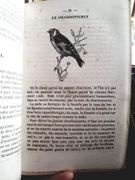 Manuel de l'oiseleur ou l'art de prendre, d'élever, d'instruire les oiseaux en cage ou en liberté. De les préserver et guérir de toutes les maladies suivi d'un Traité sur l'art d'élever les animaux domestiques et d'agrément. Ouvrage illustré de 30 gravures sur bois terminé par la meilleure méthode d'empailler et de conserver aux oiseaux et aux quadrupédes leurs attitudes naturelles. par Joubert, P-Ch. - Image 3