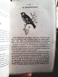 Manuel de l'oiseleur ou l'art de prendre, d'élever, d'instruire les oiseaux en cage ou en liberté. De les préserver et guérir de toutes les maladies suivi d'un Traité sur l'art d'élever les animaux domestiques et d'agrément. Ouvrage illustré de 30 gravures sur bois terminé par la meilleure méthode d'empailler et de conserver aux oiseaux et aux quadrupédes leurs attitudes naturelles.