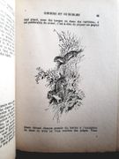 Gibiers et nuisibles. Souvenirs d'un garde-chasse par Goussard, Eugène. - Image 2