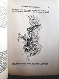 Gibiers et nuisibles. Souvenirs d'un garde-chasse