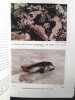 The seas. Our knowledge of life in the sea and how it is gained. Russel, F.S, Yonge, C.M.