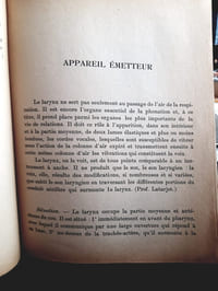 L'art de chanter