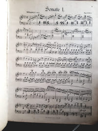 Sonates pour piano - volume 1 (sonates 1 à 16 - révision Köhler et Winkler)