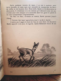 Bambi, d'après Félix Salten