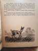 Bambi, d'après Félix Salten. Disney, Walt.
