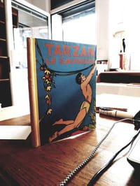 Tarzan le sauveur