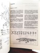 Evolution biologique et humaine par Collectif. - Image 3