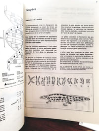Evolution biologique et humaine