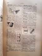 Lexique des termes d'art par Adeline, J. - Image 4