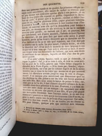 Don Quichotte