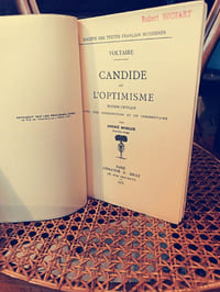 Candide ou l'optimisme