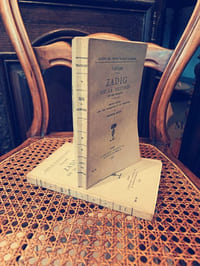 Zadig ou la destinée