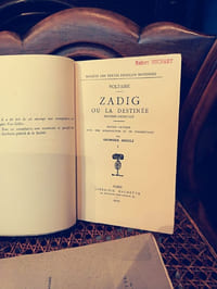 Zadig ou la destinée
