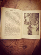 Queen Mary par Kinloch-Cooke, Clement. - Image 3