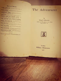 The adventurer