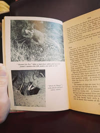 Country scrap-book for boys and girls