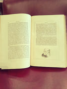 Histoire de Gil Blas de Santillane par Le Sage, M. - Image 5