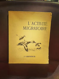 L'activité migratoire