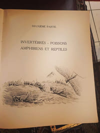 L'activité migratoire