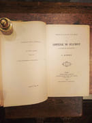 La Comtesse Pauline de Beaumont par Bardoux, A. - Image 2