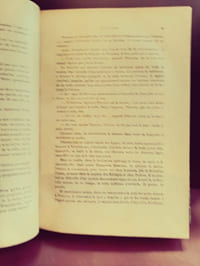 Quo vadis