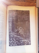 Oeuvres complètes XVI: Napoléon le petit / Histoire d'un crime par Hugo, Victor. - Image 2