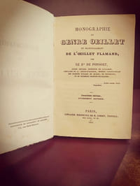 Monographie du genre oeillet et principalement de l'oeillet flamand