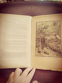 Seconde patrie (collection voyages extraordinaires)