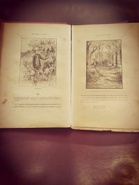 Seconde patrie (collection voyages extraordinaires)