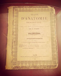 Traité d'anatomie descriptive - Tome consacré à la splanchnologie