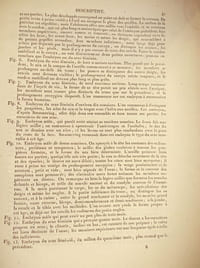 Traité d'anatomie descriptive - Tome consacré à la splanchnologie