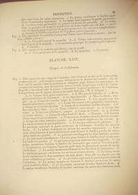 Traité d'anatomie descriptive - Tome consacré à la splanchnologie