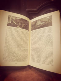 Les Rougon-Macquart : histoire naturelle et sociale d'une famille sous le Second Empire. L'assommoir