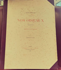 Nos oiseaux, aquarelles de Hector Giacomelli