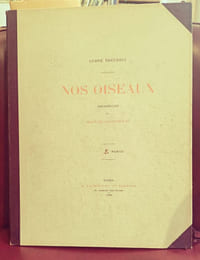 Nos oiseaux, aquarelles de Hector Giacomelli