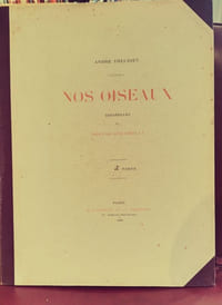 Nos oiseaux, aquarelles de Hector Giacomelli